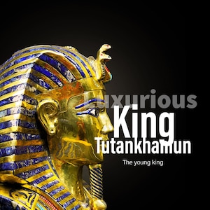 Egyptian king Tutankhamun Mask - Egyptian King Tut, The only one in the world