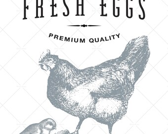 Fresh Eggs Digital File, Hen Chick and Egg, Farmhouse, Clipart, PNG, Sublimation Design