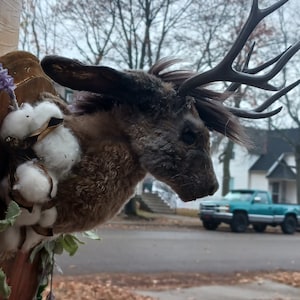 Custom Jackalope Mount W/Custom Floral/Greenery Plaque