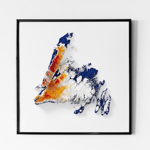 Terre-Neuve - Carte en relief ombrée - Couleurs du drapeau