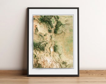 New Mexico, U.S.A. - Shaded Relief Map - Imagery