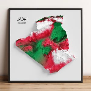 Algérie - Carte en relief ombrée - Couleurs officielles du drapeau