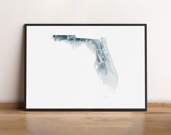 Floride - Carte du relief ombragé - Topographie naturelle