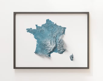 Puede incluir: Un mapa enmarcado de Francia con un relieve topográfico 3D que muestra la elevación del país. El mapa está impreso en tonos de azul y blanco.