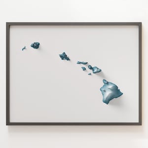 Hawaii - Schattierte Reliefkarte - Natürliche Topographie