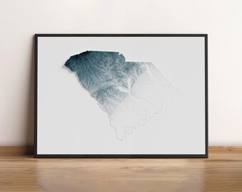 Caroline du Sud - Carte en relief ombré - Topographie naturelle