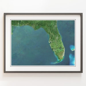 Florida, U.S.A. - Shaded Relief Map - Imagery