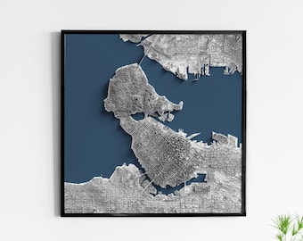 May include: A black and white 3D map of a city with a blue background. The map shows the city's streets, buildings, and waterways. The map is framed in a black frame.
