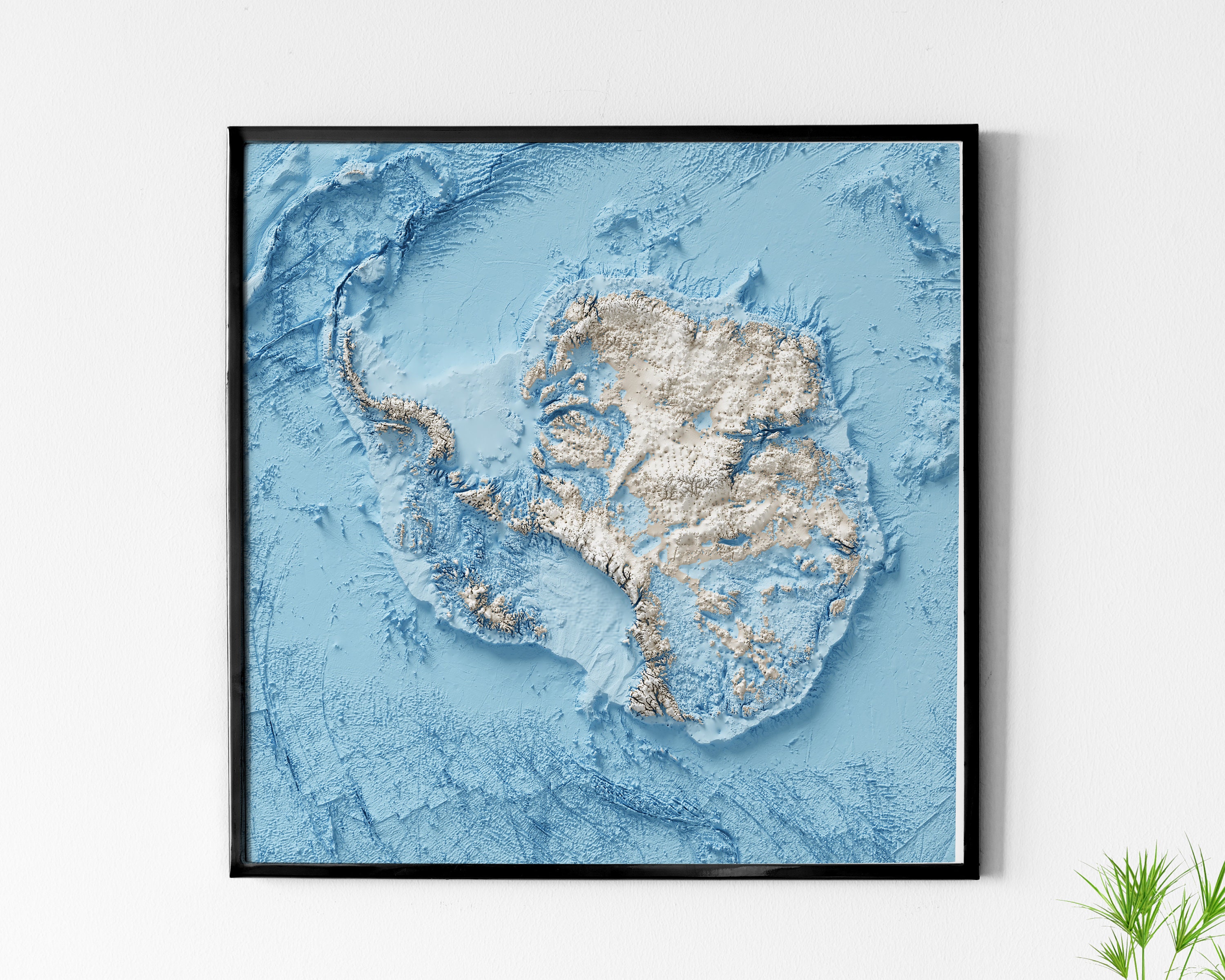 Antarctica Shaded Relief Map Natural Topography No Ice Etsy