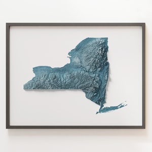 New York - Reliefkarte - Naturtopographie