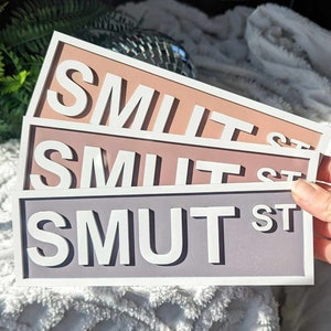 Library Sign/ book Street sign/ book sign/ cottagecore/ book lover sign/ book lover gift/ bookshelf decor/ smut st/ smut book lover