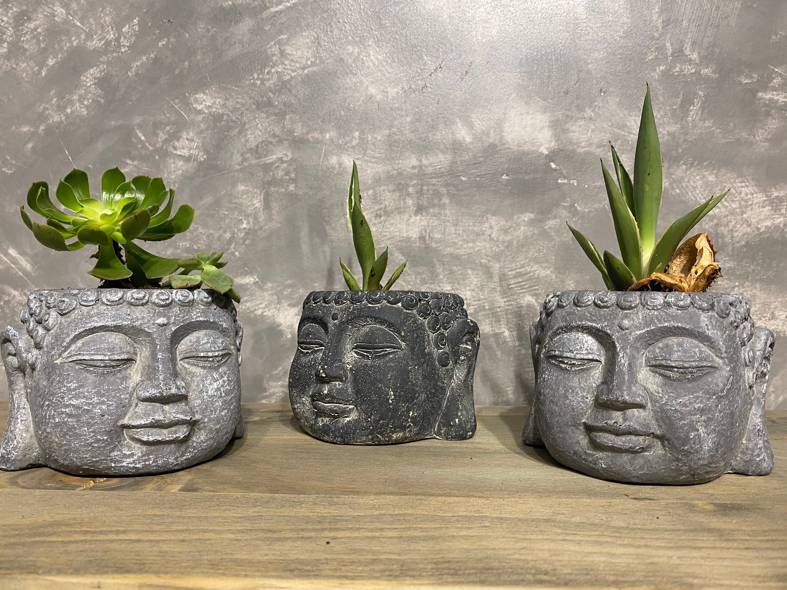 Buddha Plant Pot Buddha Pot Planter Buddha Succulent Etsy