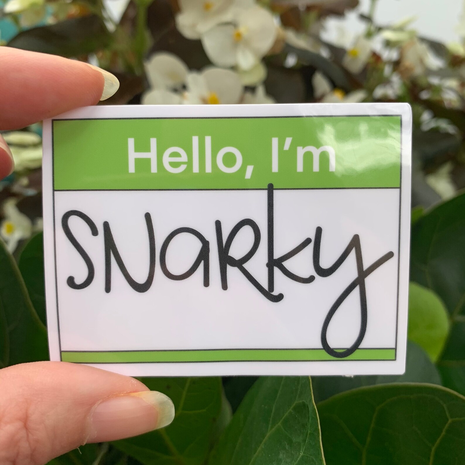 FUNNY NAME TAG Sticker Pack Vinilo resistente a la Etsy