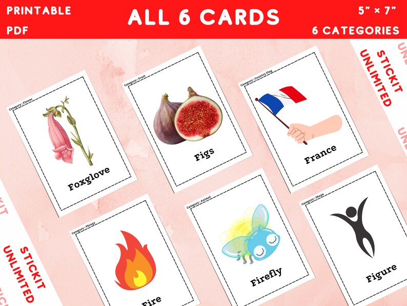 Nomenclature Cards Picture Flashcards Alphabet Flashcards - Etsy