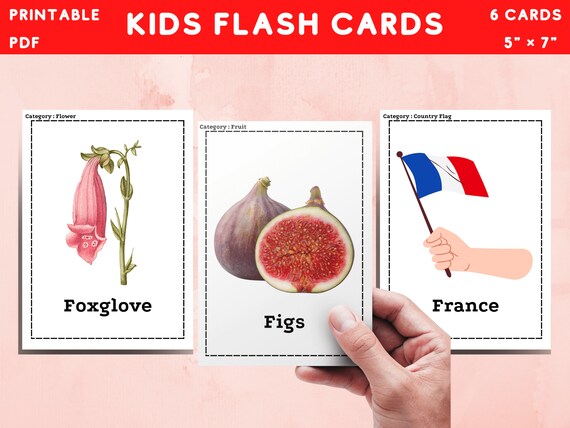 Nomenclature Cards Picture Flashcards Alphabet Flashcards - Etsy