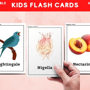 Letter N Flash Cards - Montessori Learning Material - Nomenclature  Cards -  Picture Words Flash cards - Set Learning Flash Cards - 5 by 7