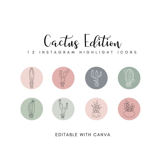 12 Instagram Cactus Highlights, Cactus Icons, Story Covers, Cute Icons,  Story Highlights - Etsy