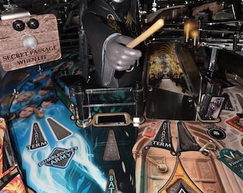 Harry Potter Death Eater airball Protector