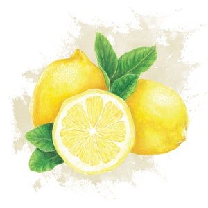 Impression dart citron aquarelle A4 Imprimé sur du papier recyclé Impression d'art numérique Impression de fruits Cadeau Anniversaire Noël Anniversaire image 3