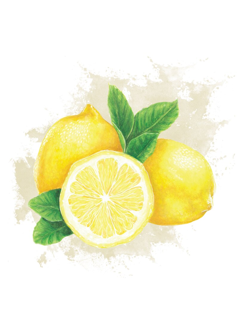 Impression dart citron aquarelle A4 Imprimé sur du papier recyclé Impression d'art numérique Impression de fruits Cadeau Anniversaire Noël Anniversaire image 3