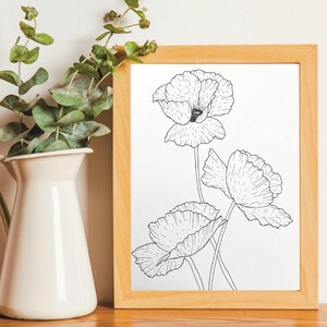 Poppy Art Print | Digital Art Print | Traditional Art Print | Wild Poppies Art Print | Hand Drawn Art Print | Gift | Christmas | Birthday