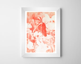 Limited Edition Red Butterfly Risograph Print | Art Print | A3 | Wall Art | Riso Print | Gift | Birthday | Christmas | Anniversary