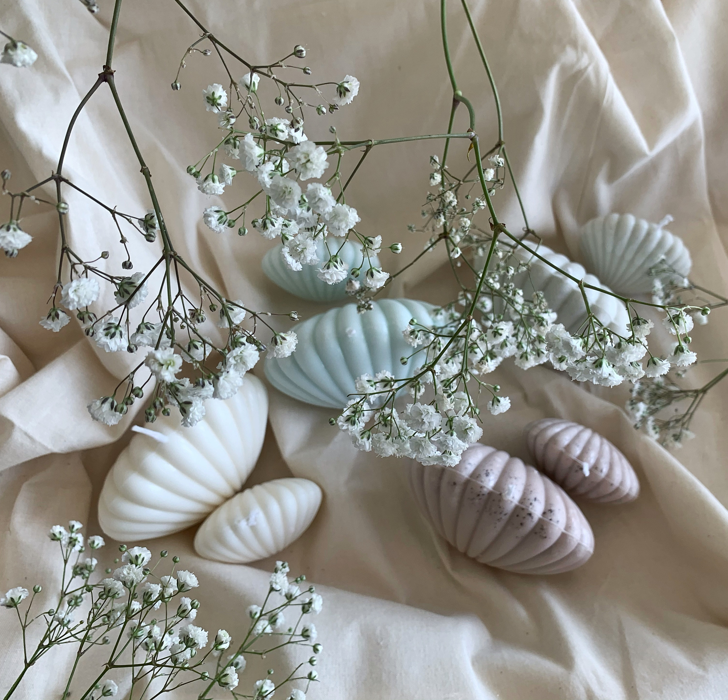 Bougie Sea Shell I Bougie Végétalienne | en Coquille de Cire Soja