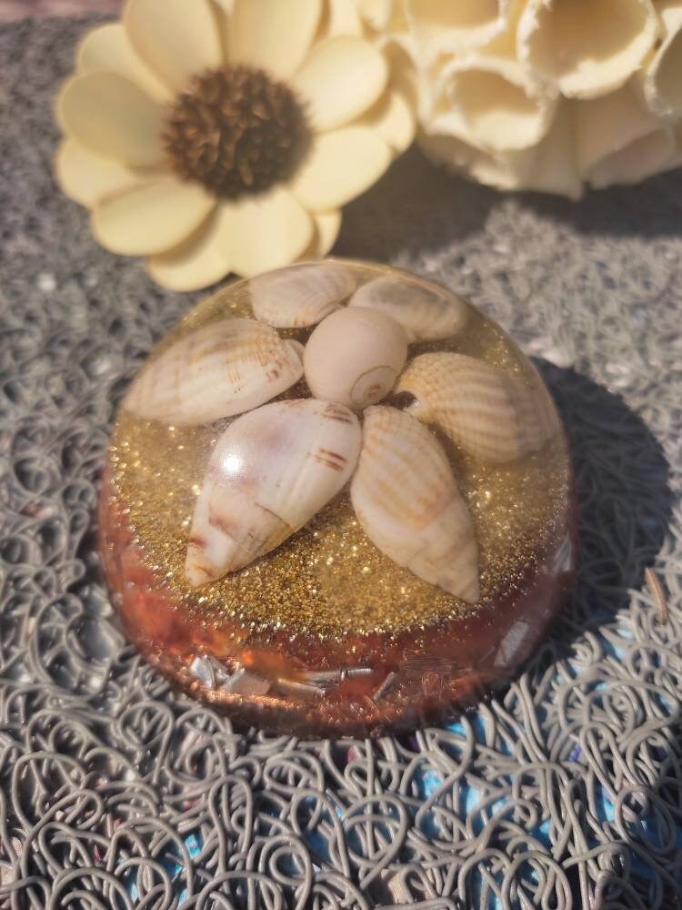 Orgonite Dôme Cornaline Coquillages