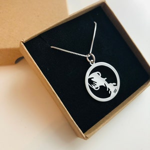 Sterling Silver Zodiac Sign Necklace, Personalized Astrology Jewelry Image 6