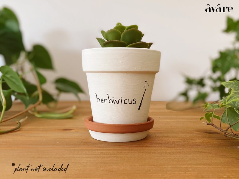 Harry Potter Gifts Harry Potter Succulent Planter Plant Pot Cactus Planter Herbivicus Potterhead Hand Painted Terracotta Clay Pot Planters Pots Plant Accessories Eadinteligenciaedu Com Br