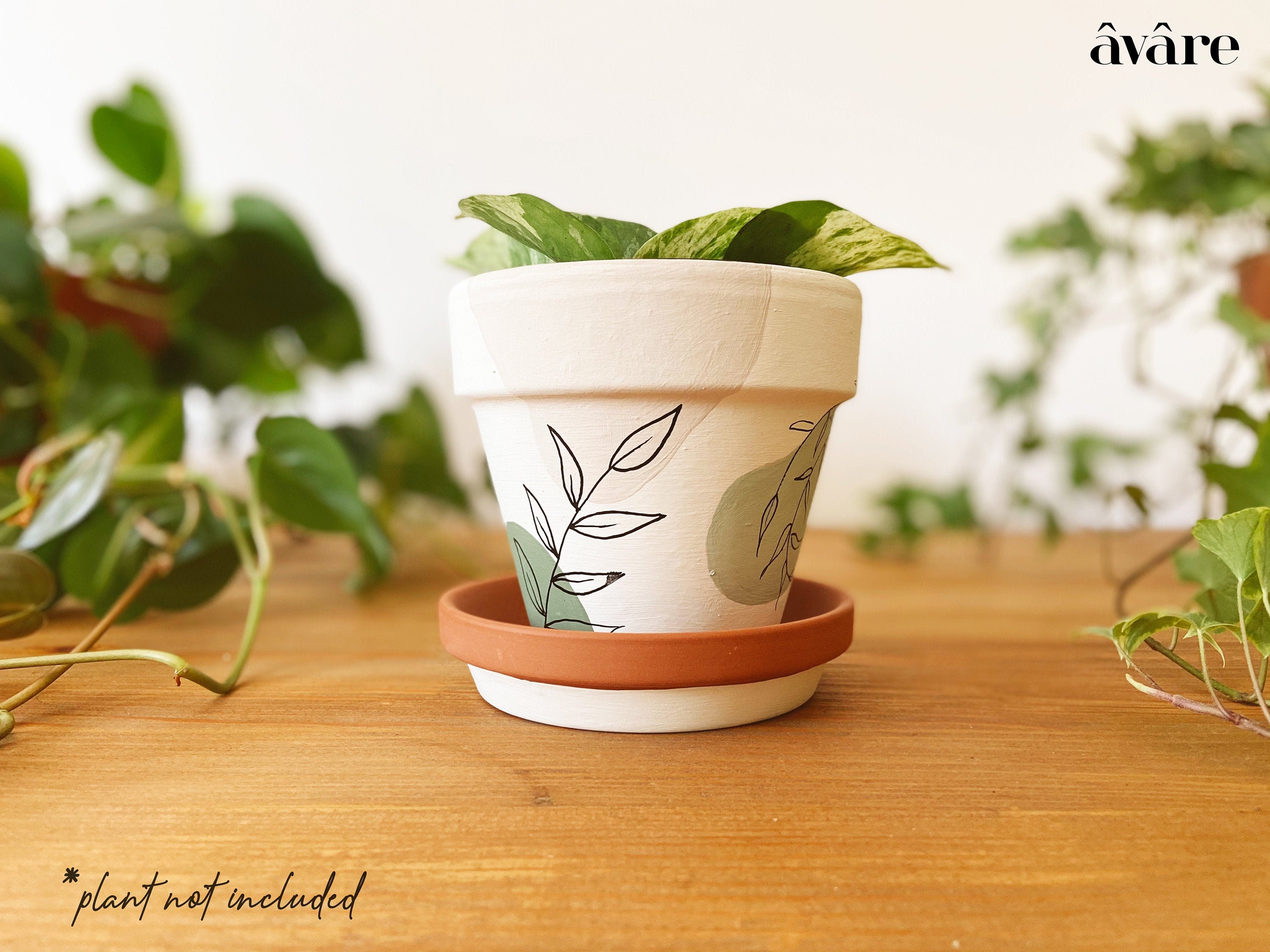 Painting cheap terracotta pots