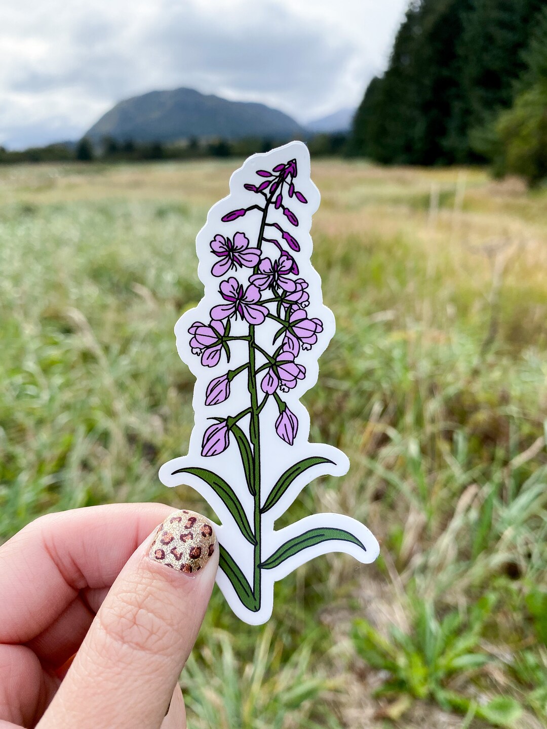 Fireweed Sticker - Etsy