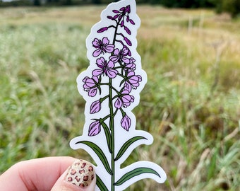 Fireweed Sticker