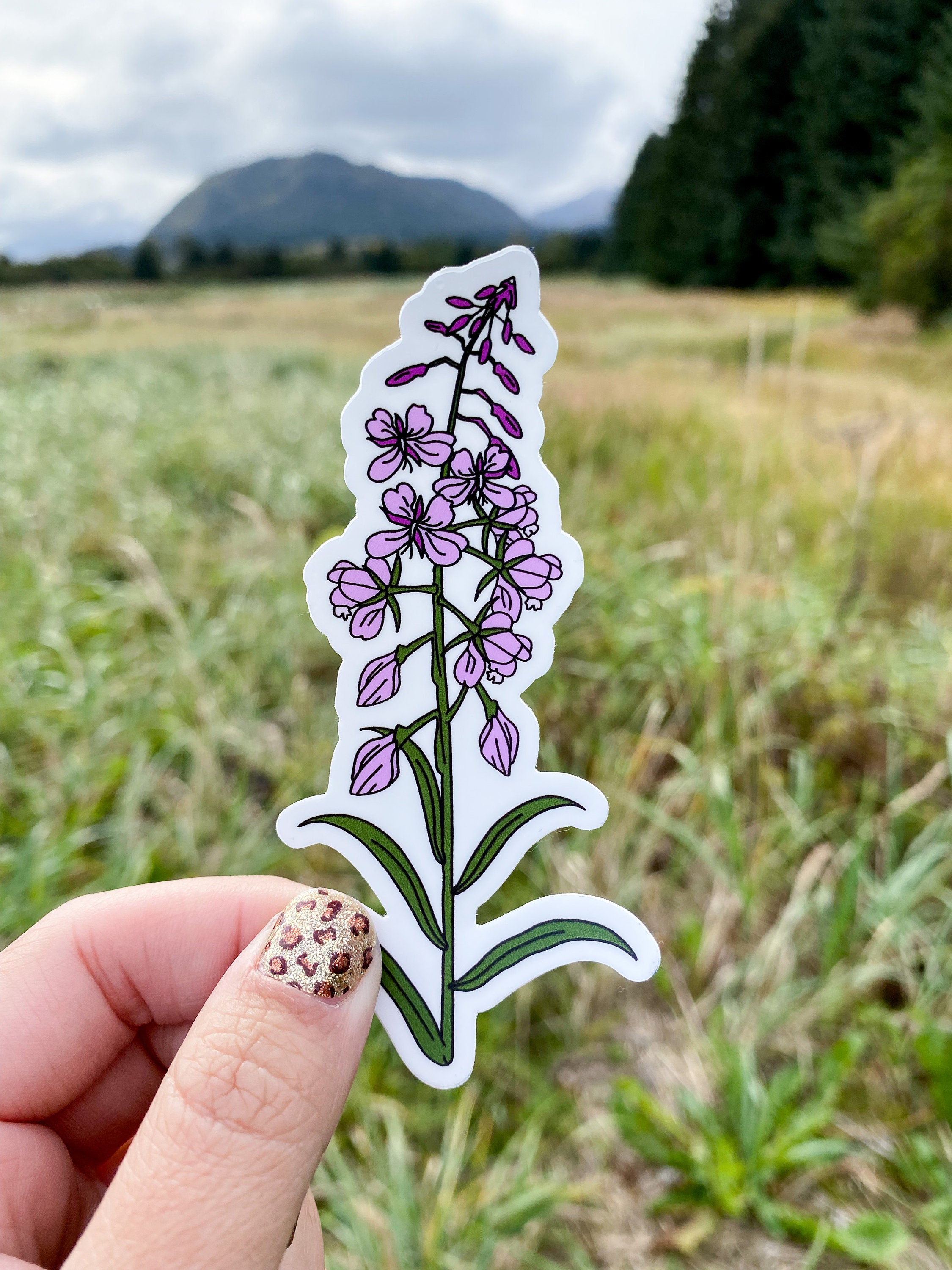 Fireweed Sticker - Etsy