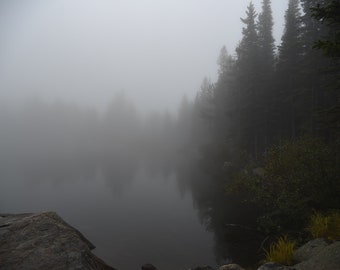 Enchanted Forest Photograph, Nature Photography