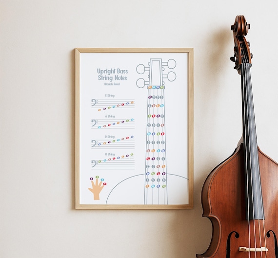 Upright Bass Music Notes Poster - Double Bass Theory, Bass Guitar Fret Board Chart Print, Music Classroom Wall Art