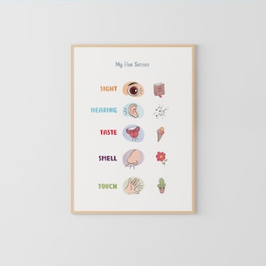 Cinco sentidos, carteles educativos, carteles preescolares, decoración del aula, póster Montessori, póster para sala de juegos