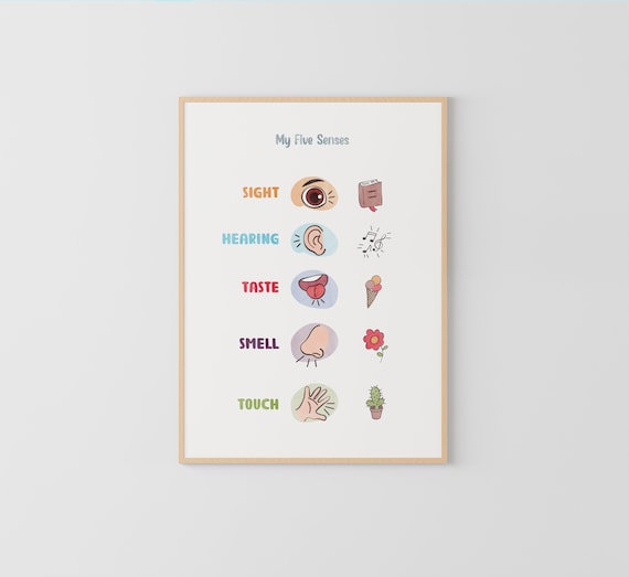 Five Senses, Educational posters, Preschool Posters, Classroom decor, Montessori Poster, playroom poster