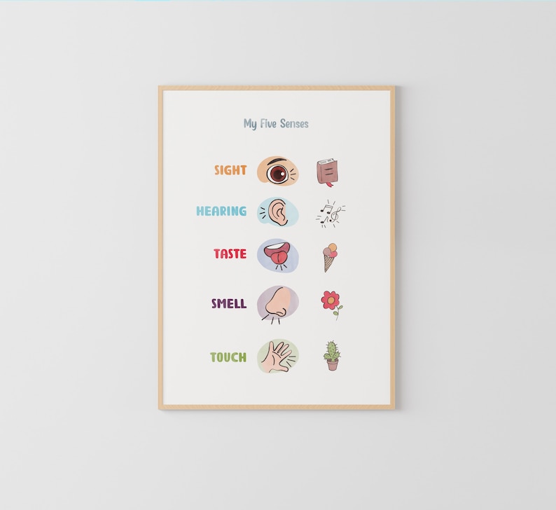 Five Senses Poster Educational Posters Preschool Posters - Etsy