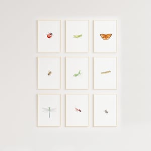 Ensemble d'affiches d'insectes, impression d'insectes, art mural imprimable, décoration d'école à la maison Montessori, décoration de classe nature