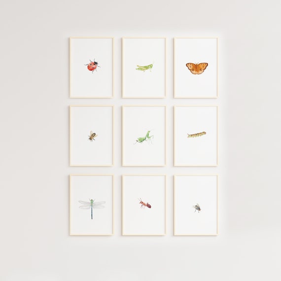 Set of Insects Poster, Bugs Print, Printable Wall Art, Montessori Homeschool Decor, Nature Classroom Decor