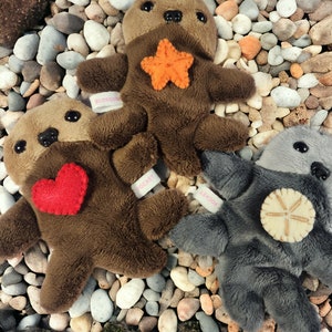 Zakotters