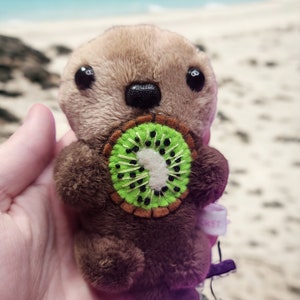 Pocket Otters