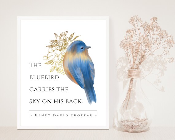 Bluebird Carries the Sky Necklace Bluebird Carries the Sky Necklace