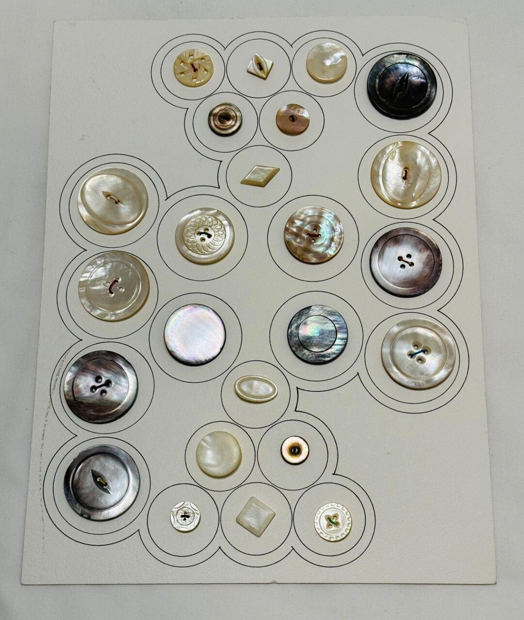Shell Buttons Multiple Colors Styles & Sizes 24 Buttons - Etsy