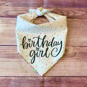 Birthday Girl Rainbow Confetti Squares Tie-On Dog Bandana | first birthday | puppy bandana | new puppy | birthday girl