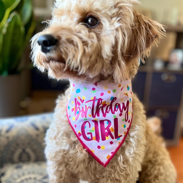Birthday Girl Colorful Confetti Tie-On Dog Bandana | first birthday | birthday girl | dog party bandana | birthday girl bandana
