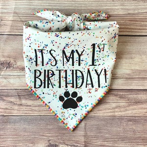 It’s My 1st Birthday Rainbow Confetti Tie-On Dog Bandana | birthday pup | first birthday | birthday boy | birthday girl | 1st birthday