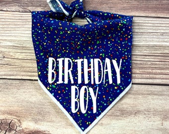 Birthday Boy Celebration Tie-On Dog Bandana | dog birthday | 1st birthday bandana | dog party | birthday boy bandana | birthday bandanas