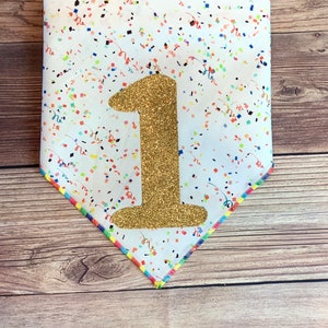 Colorful Birthday Year Tie-On Dog Bandana | rainbow | first birthday | 1st birthday | birthday boy | birthday girl | birthday party